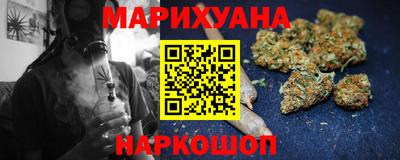 прущие грибы Будённовск