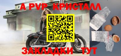 прущие грибы Будённовск