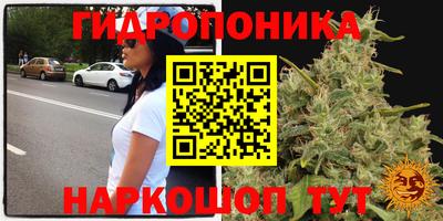 стаф Бузулук