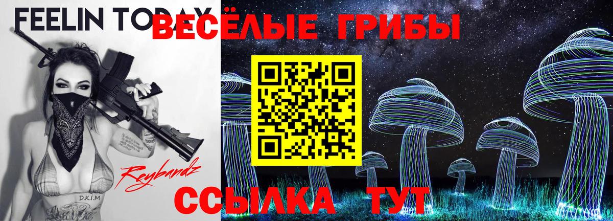 Подольск  Псилоцибиновые грибы прущие грибы  Вход с VPN 